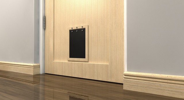 Cat Flap Installation Bexley, DA5