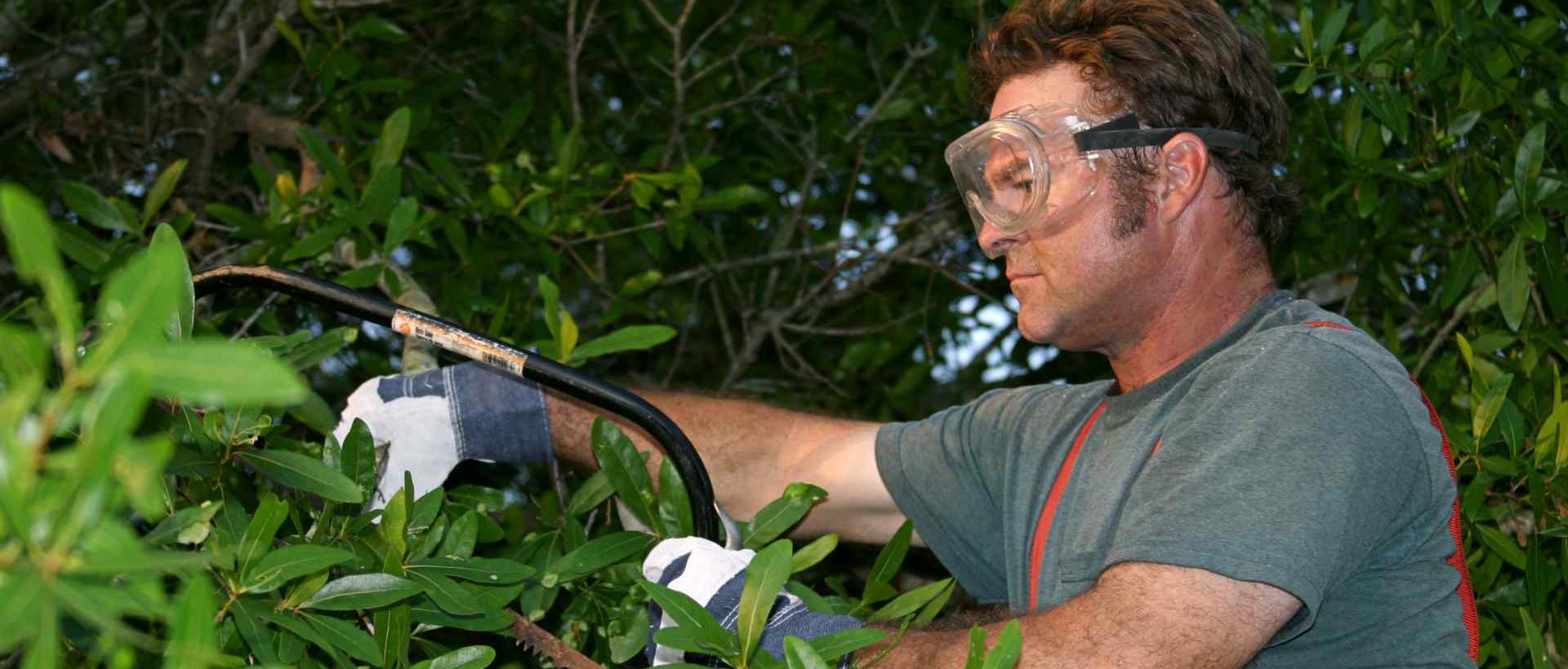 garden clearance DA5